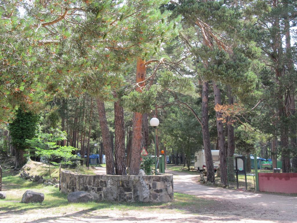 Cobijo